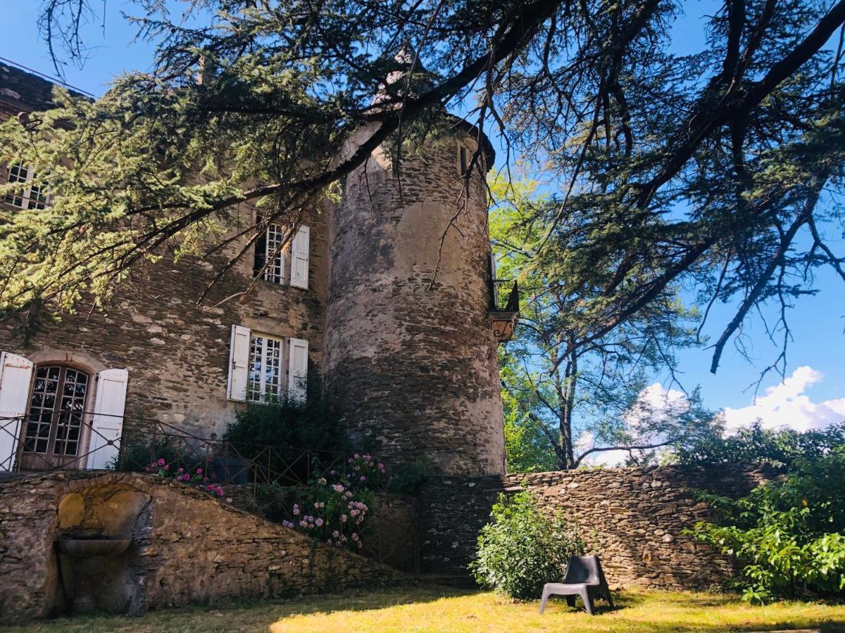 Le Chateau De Cambiaire Saint-Etienne-Vallee-Francaise Ngoại thất bức ảnh