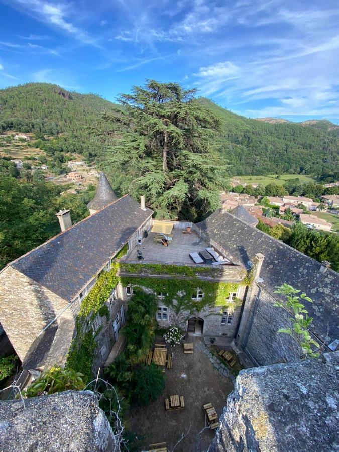 Le Chateau De Cambiaire Saint-Etienne-Vallee-Francaise Ngoại thất bức ảnh