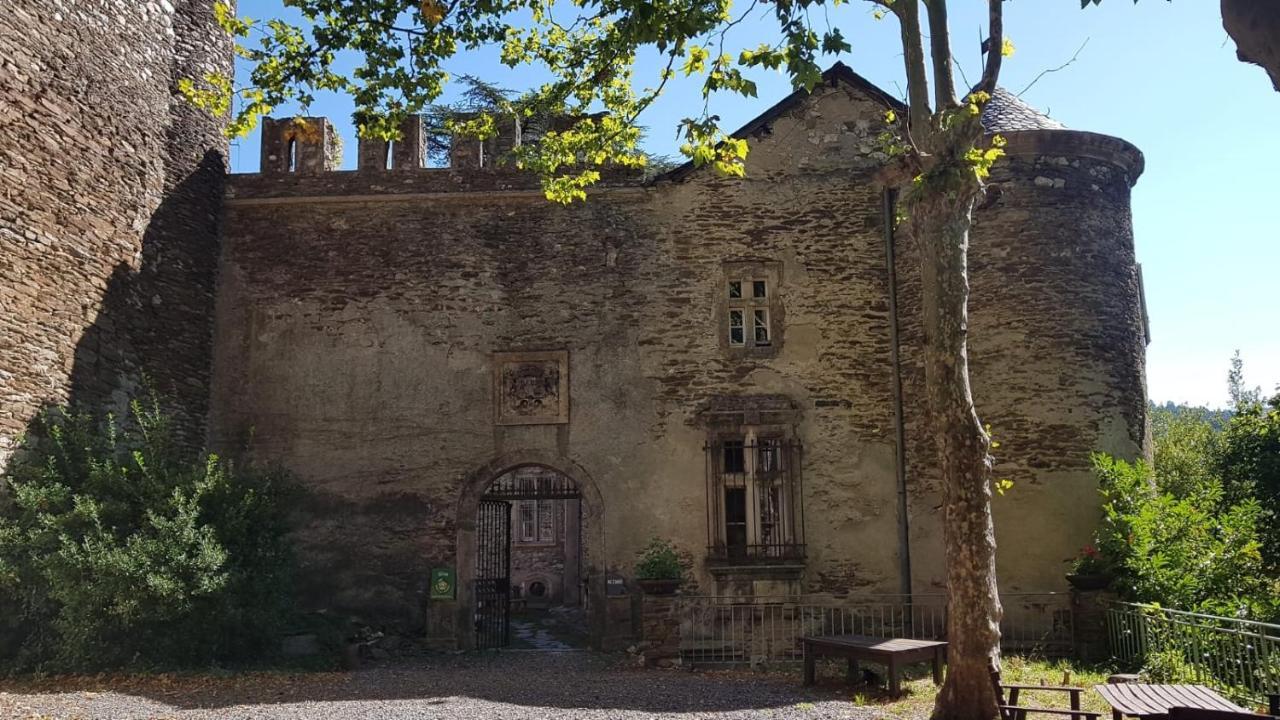 Le Chateau De Cambiaire Saint-Etienne-Vallee-Francaise Ngoại thất bức ảnh