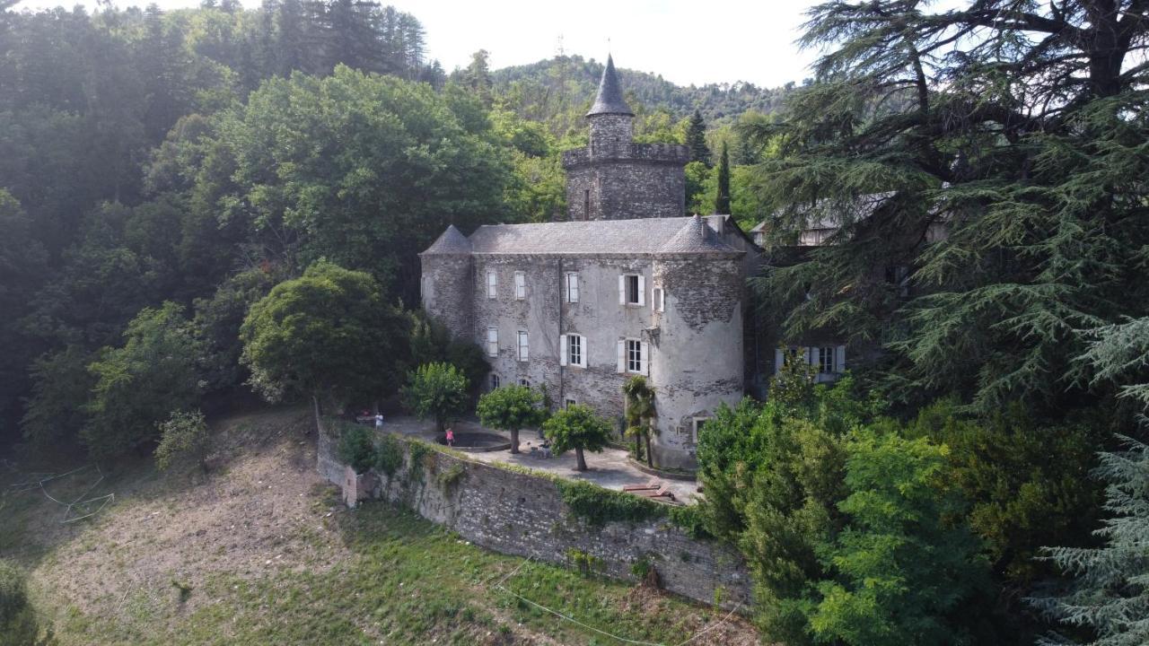 Le Chateau De Cambiaire Saint-Etienne-Vallee-Francaise Ngoại thất bức ảnh